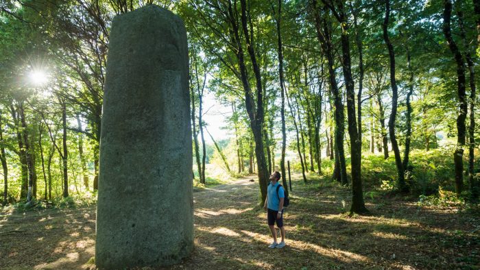 Homme dans la fôret de Broceliande