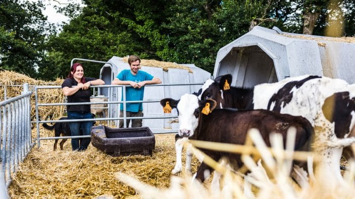 Un couple d'éleveurs observe en souriant des veaux dans un enclos.